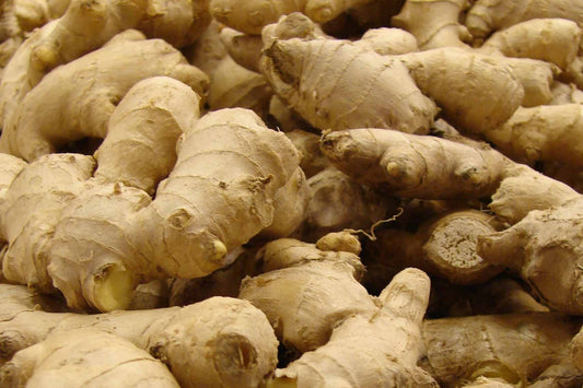 Digestion & Detoxification