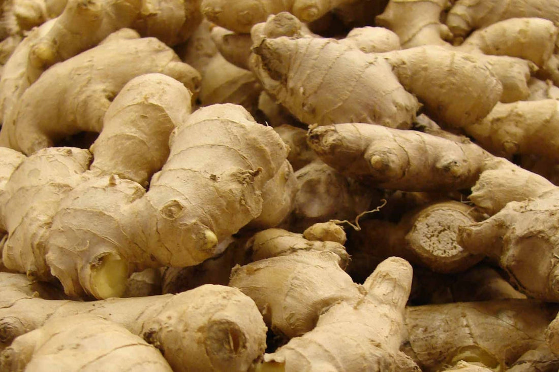 Digestion & Detoxification