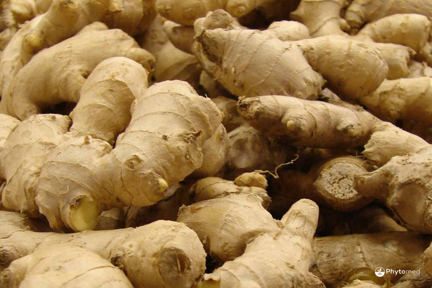 Case Study: Chronic Inflammation