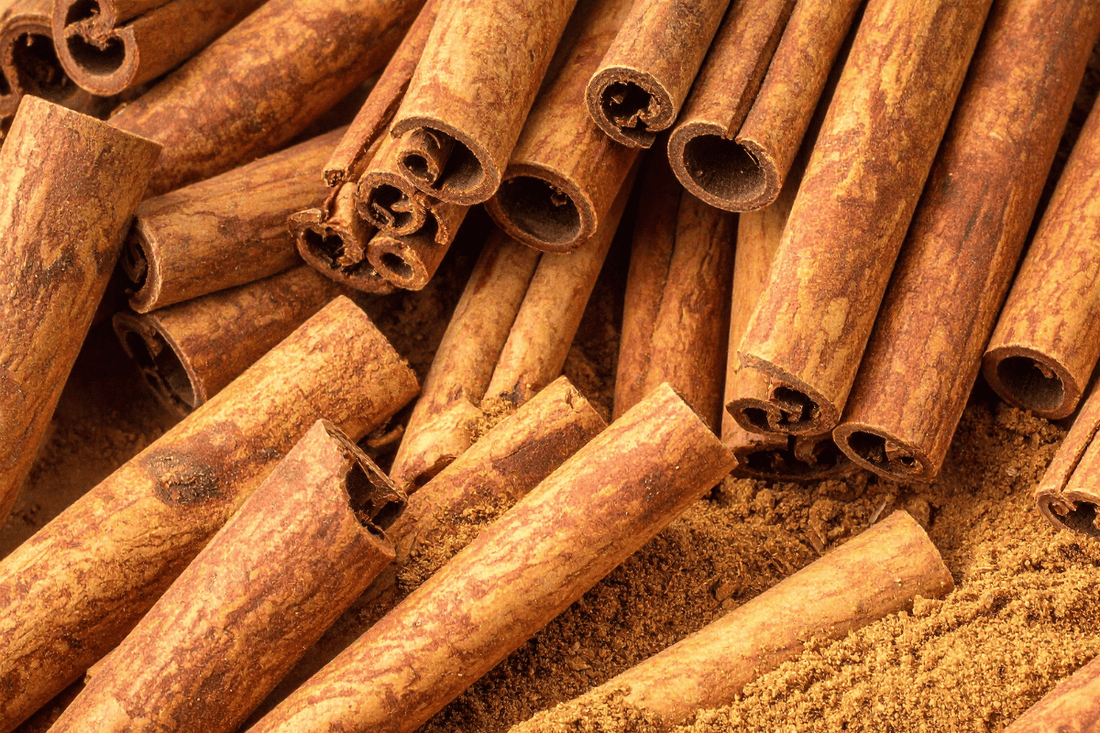 Case Study: Digestion & Detoxification