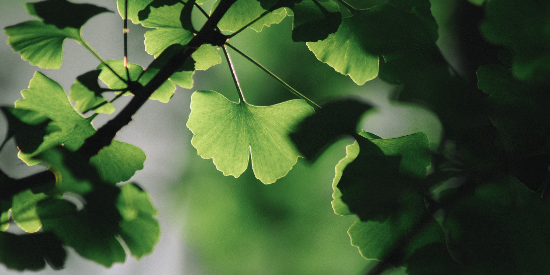 Chronic Inflammation & Brain Health
