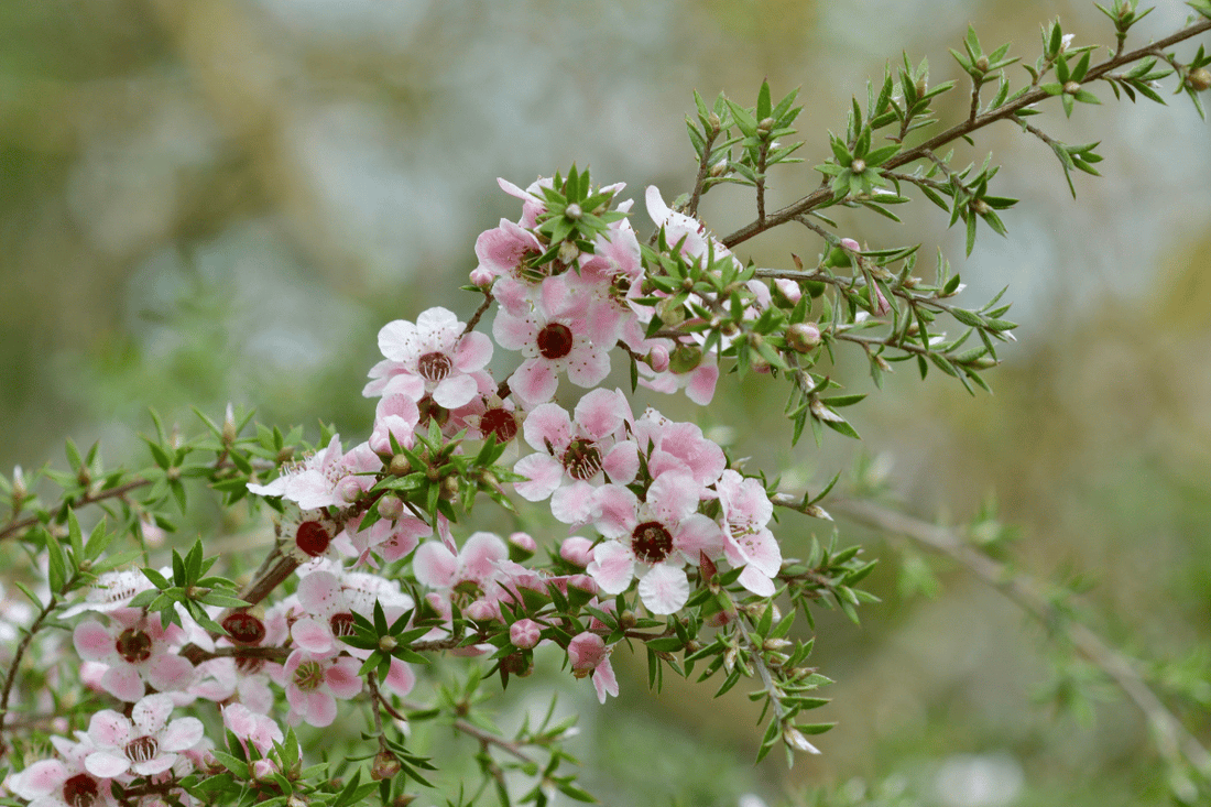 Case Study: Digestive System