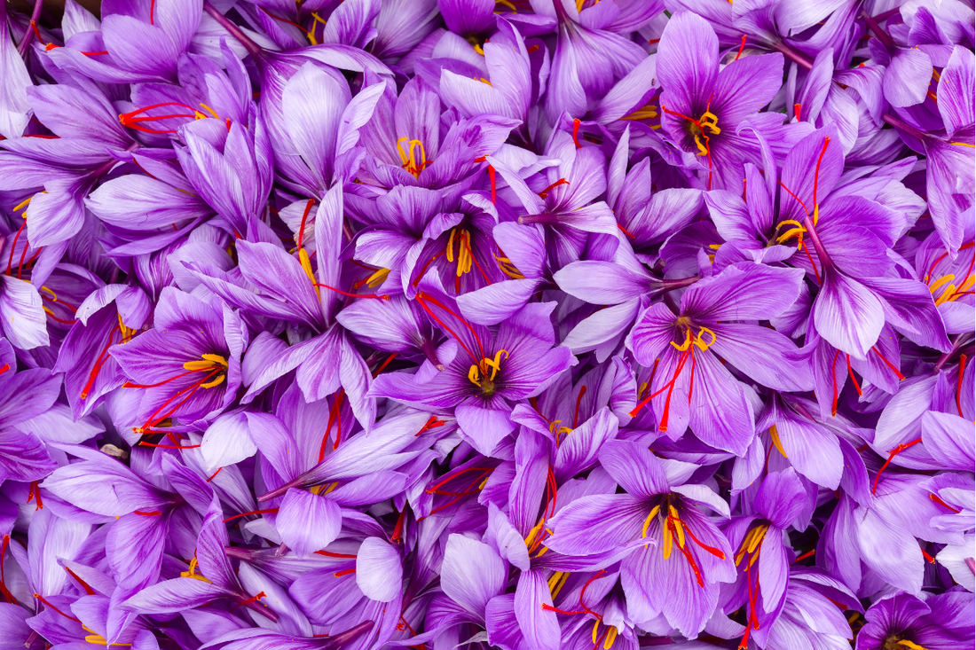 Premenstrual Dysphoric Disorder (PMDD): A Clinical Guide