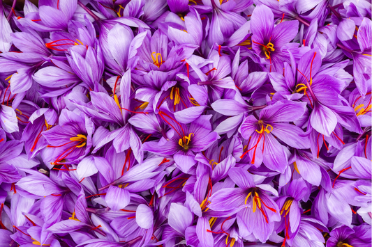 Premenstrual Dysphoric Disorder (PMDD): A Clinical Guide
